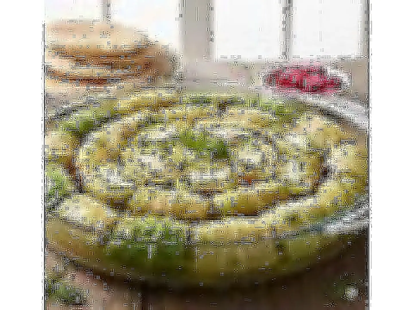 Large Rolled Cheese