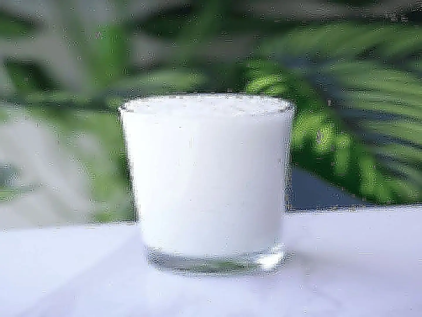 Regular Lassi Juice
