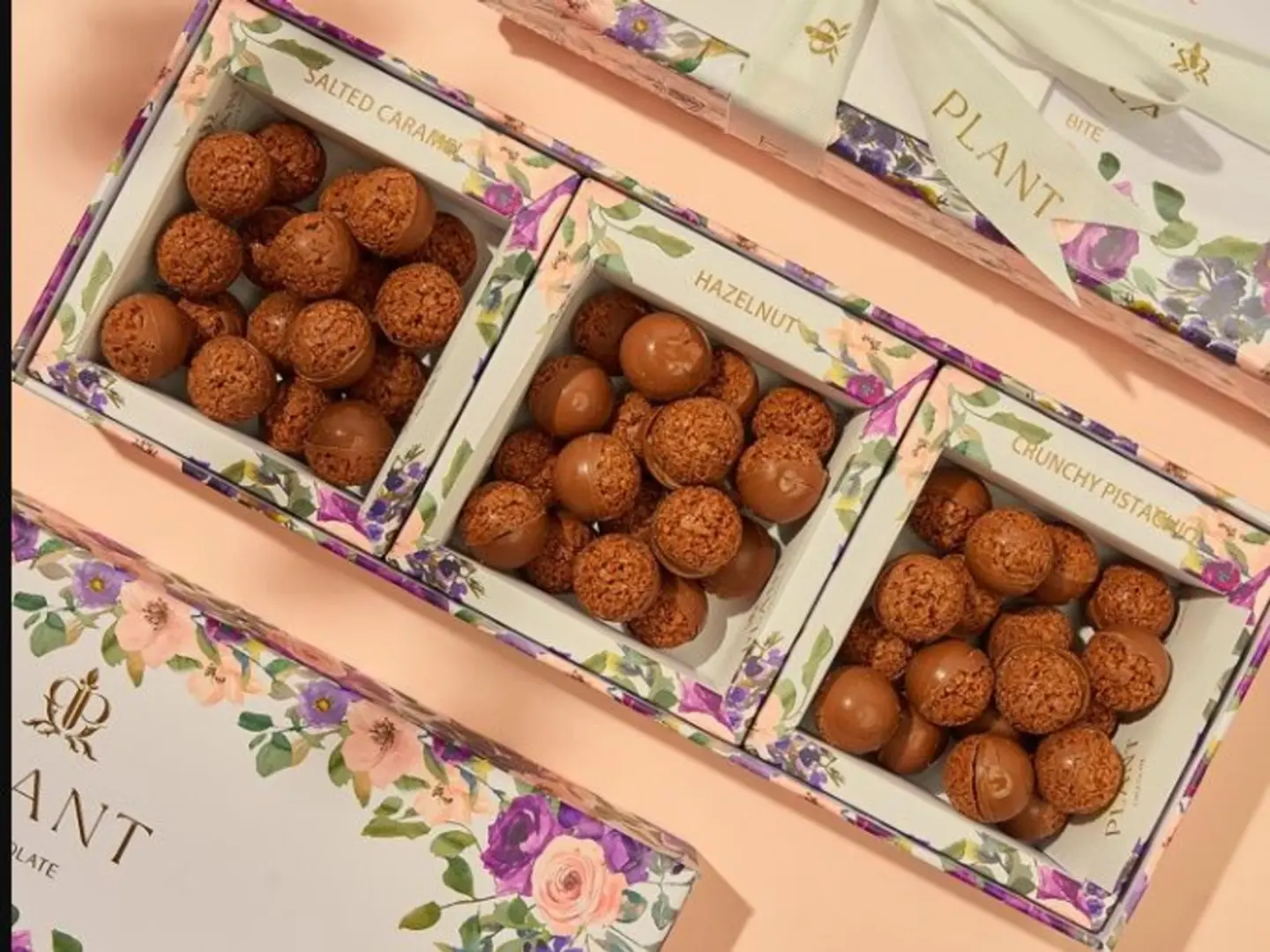 شوكليت بيتى بلانت