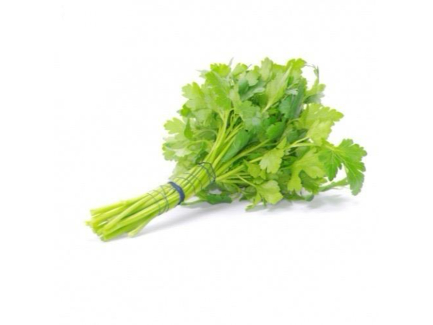 Coriander