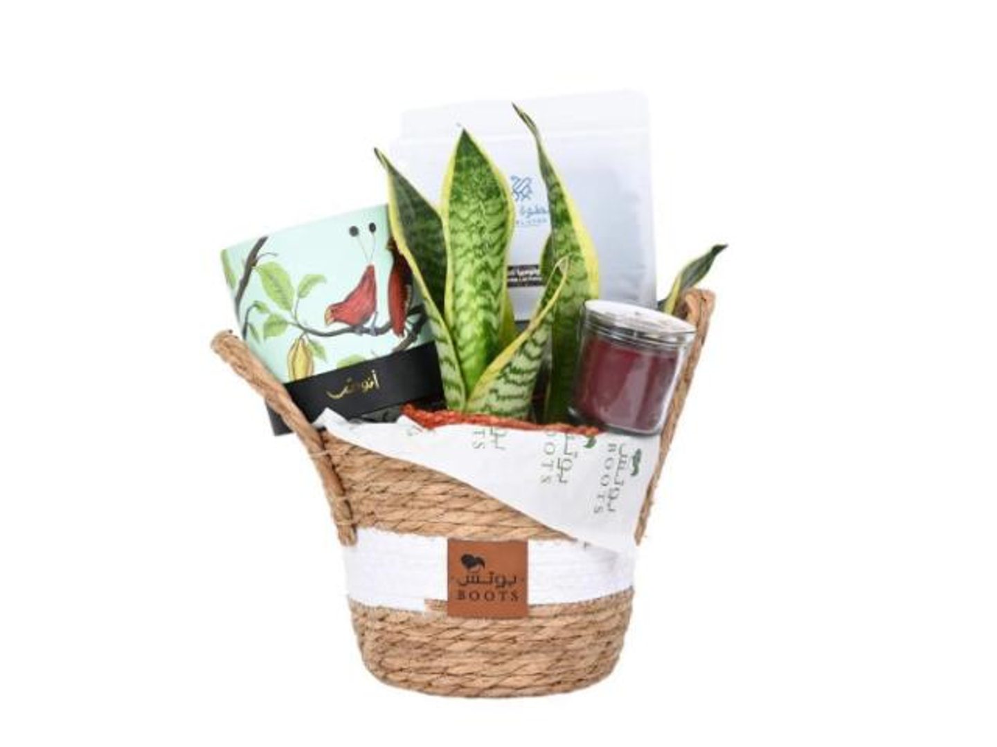 42  Censvera Plant Basket