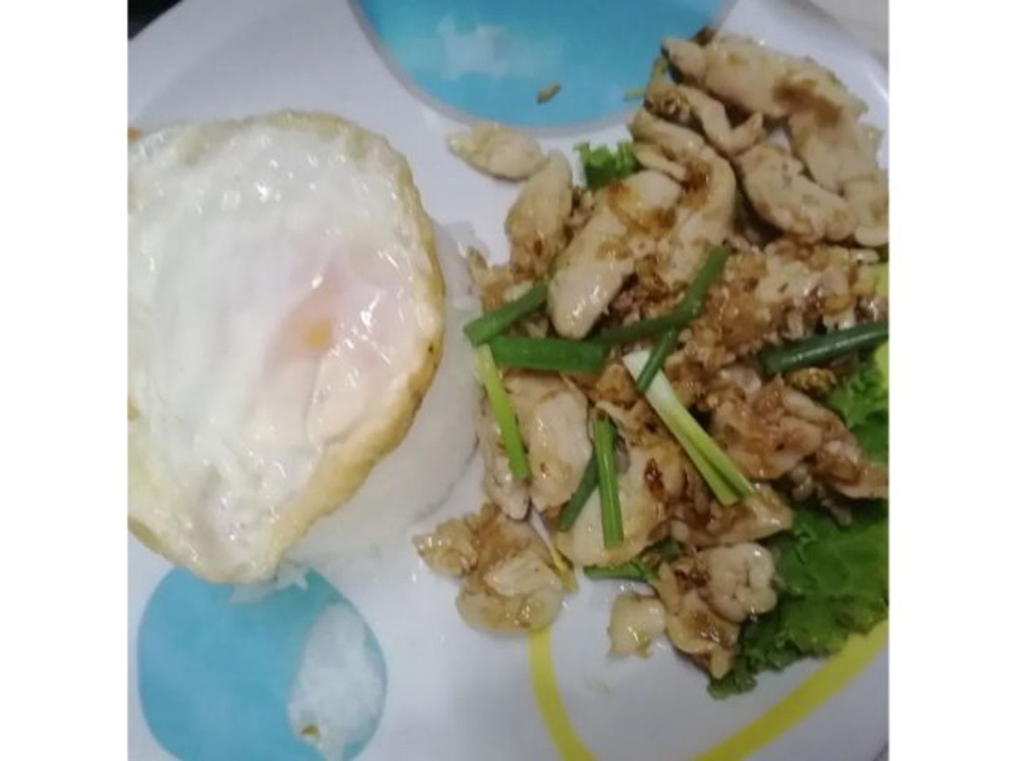 Chicken Garlic Fried Rice