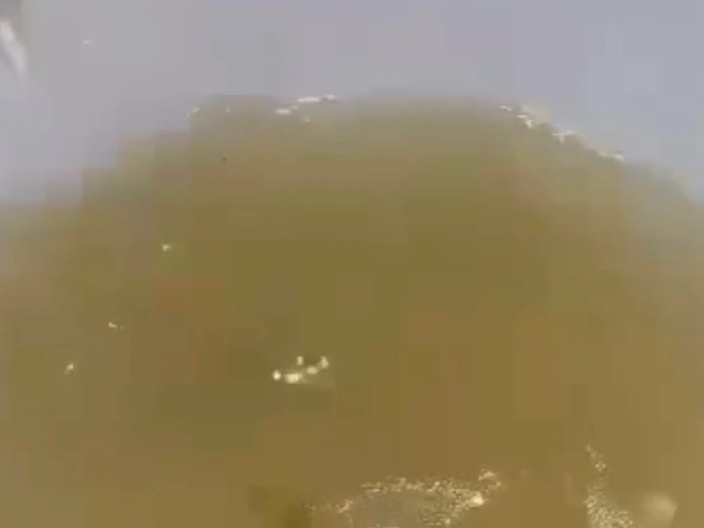 مرق تيوس بلدي