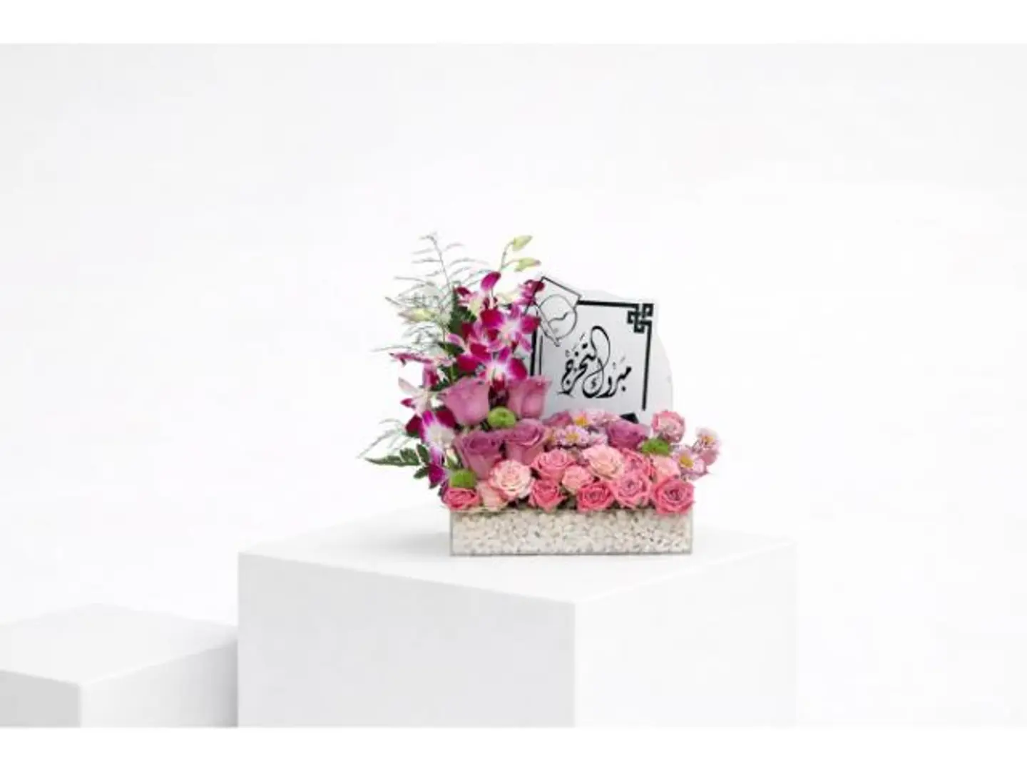 ستاند التمام