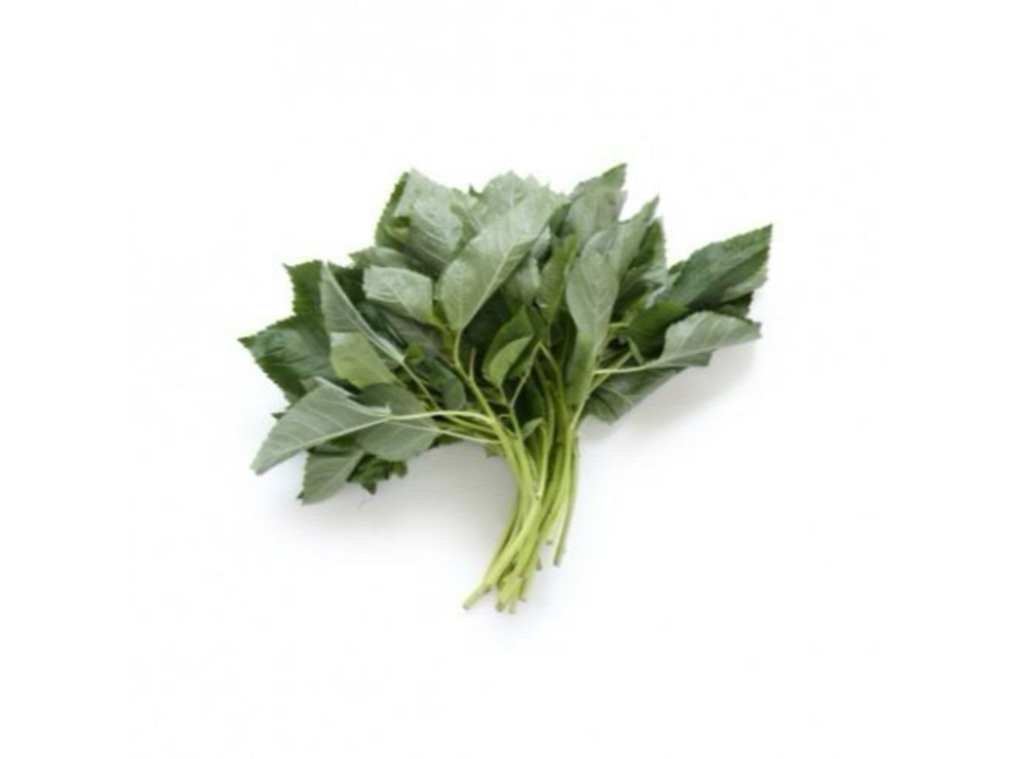 Molokhiya Jizan