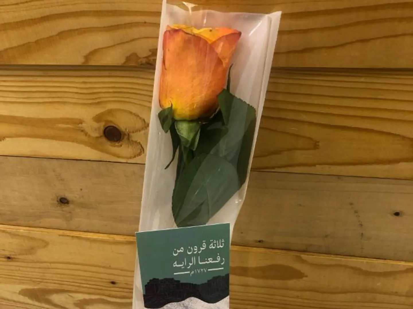 Rose Foundation Day 7