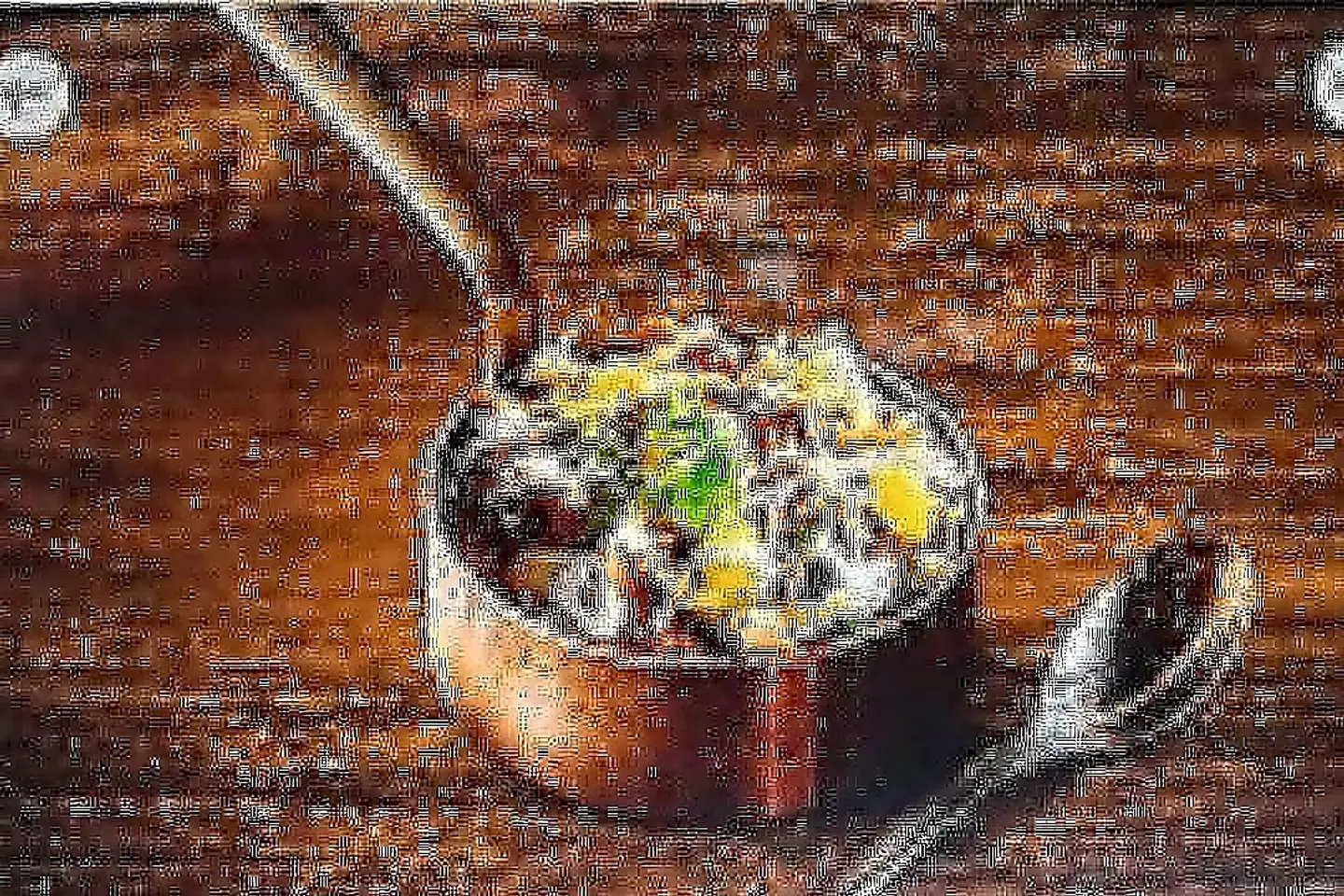 بهارات الخضار