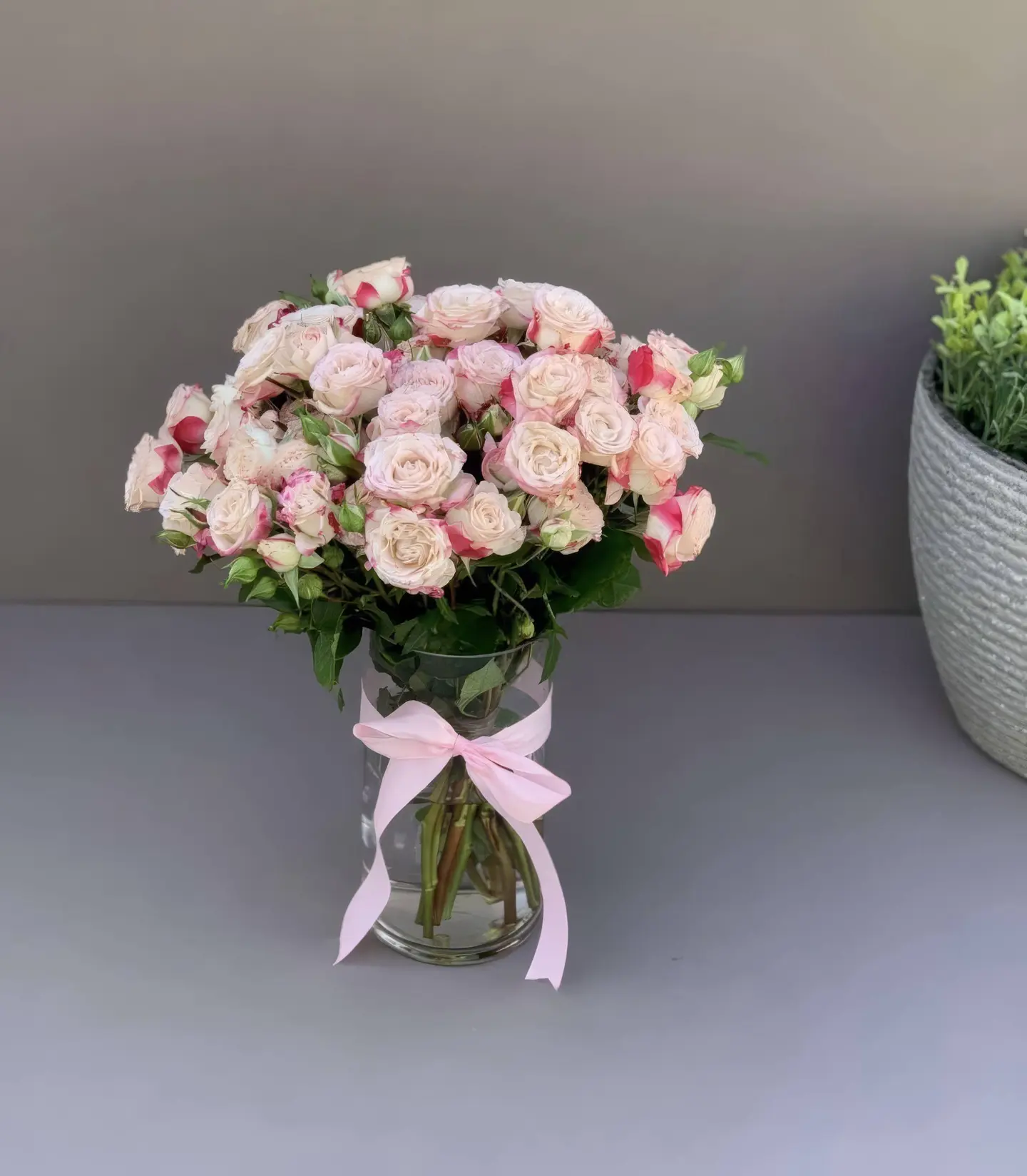 فازة بيبي روز