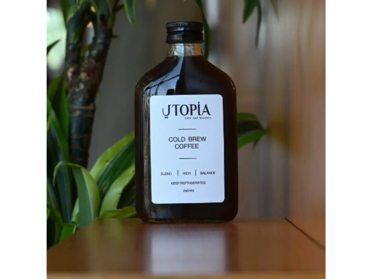 Cold Brew
