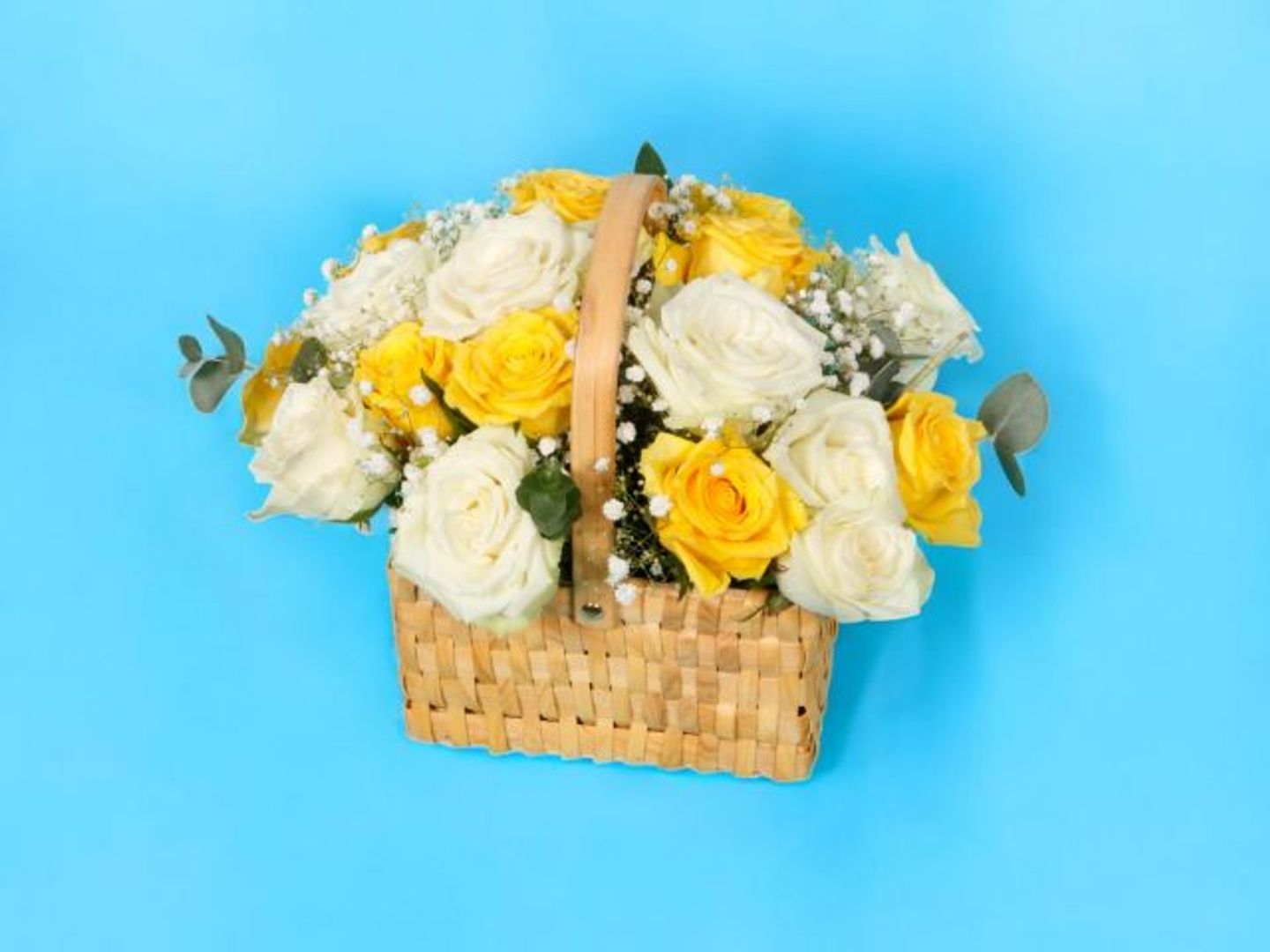 سلة نقاء الأصفر ٠١٨٩