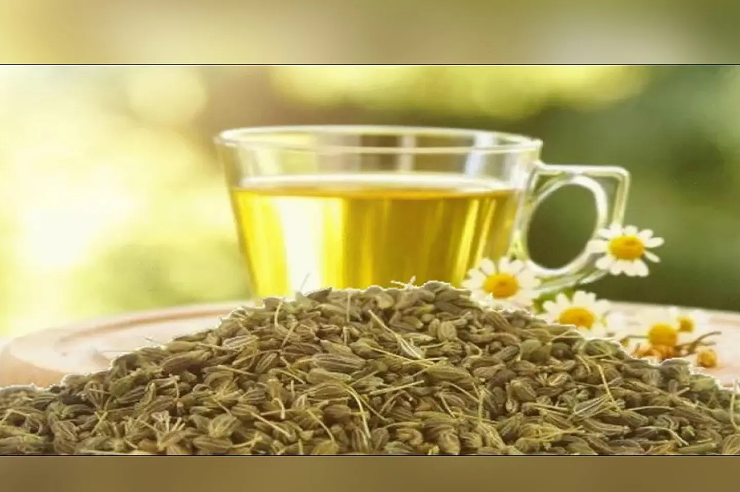 Anise