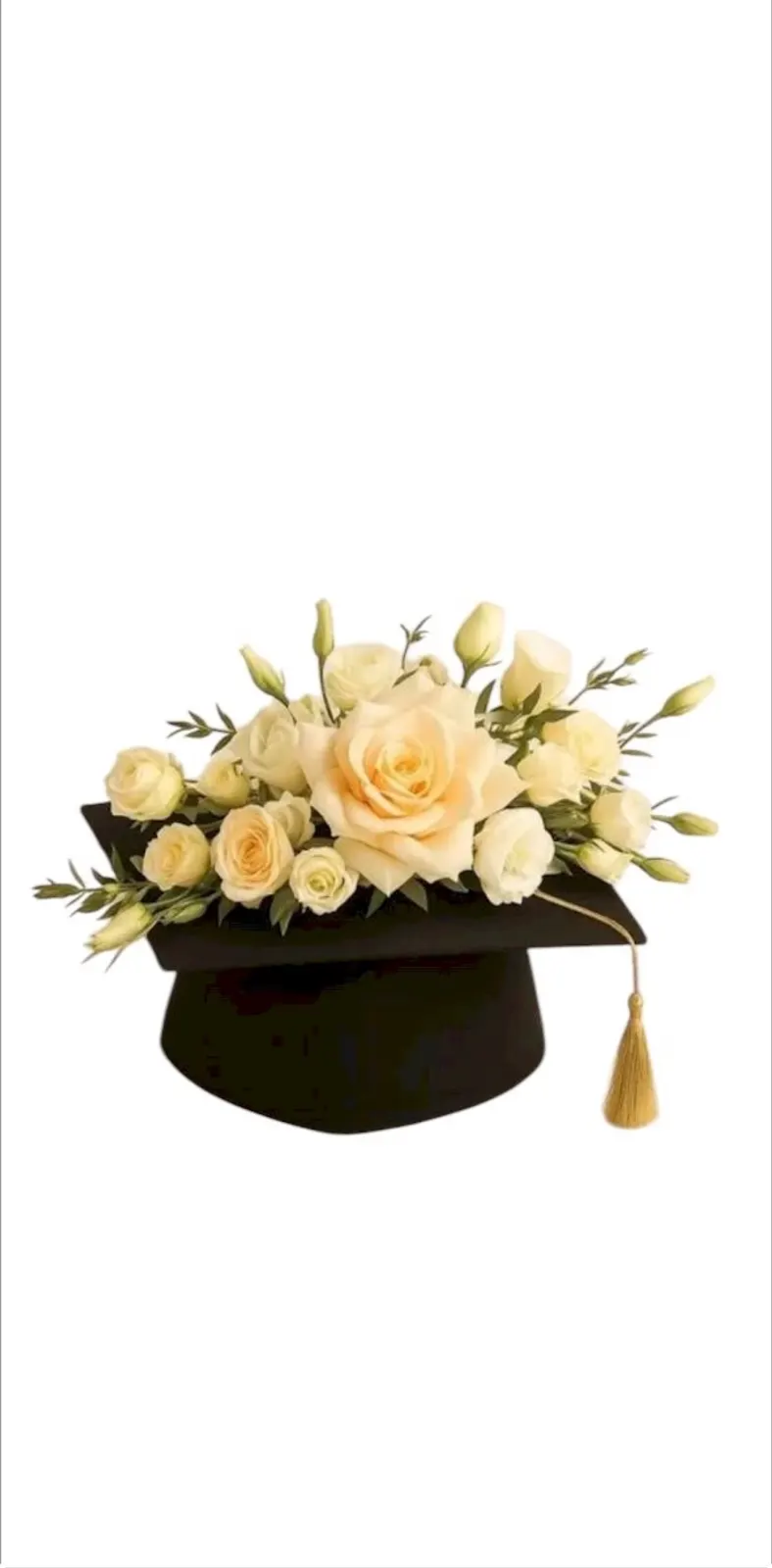 Graduation Hat 2