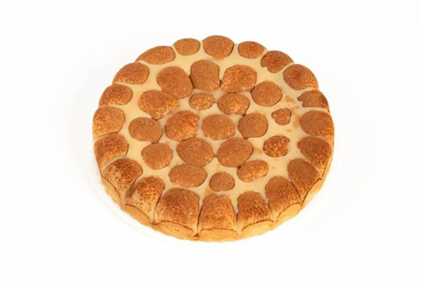 خلية سينابون