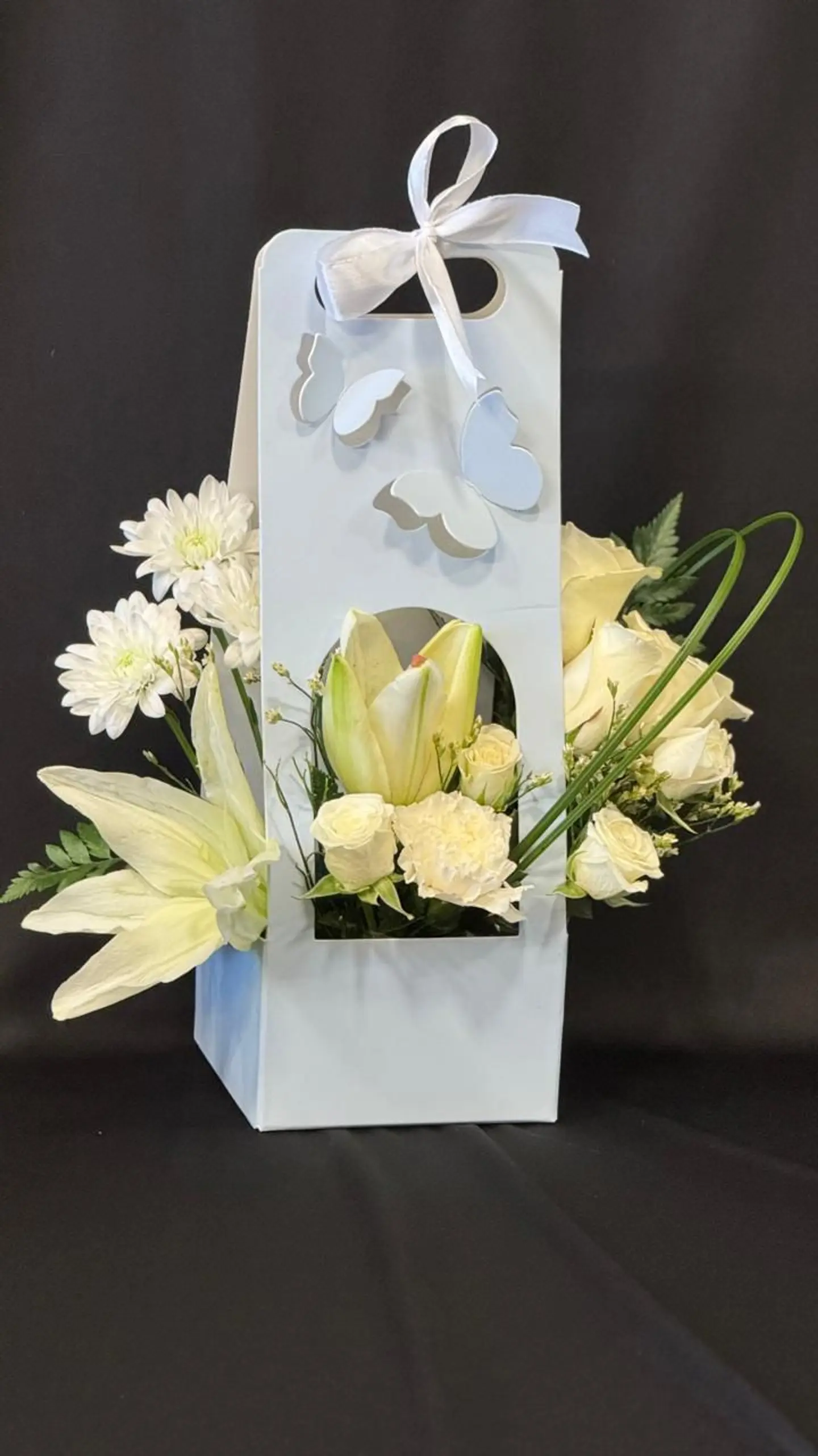 بوكس بيبي بوي