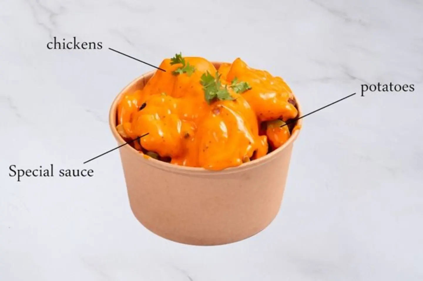 Tikka Fries
