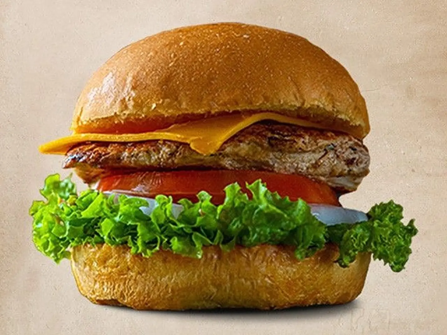 Meal Burger Chicken Single