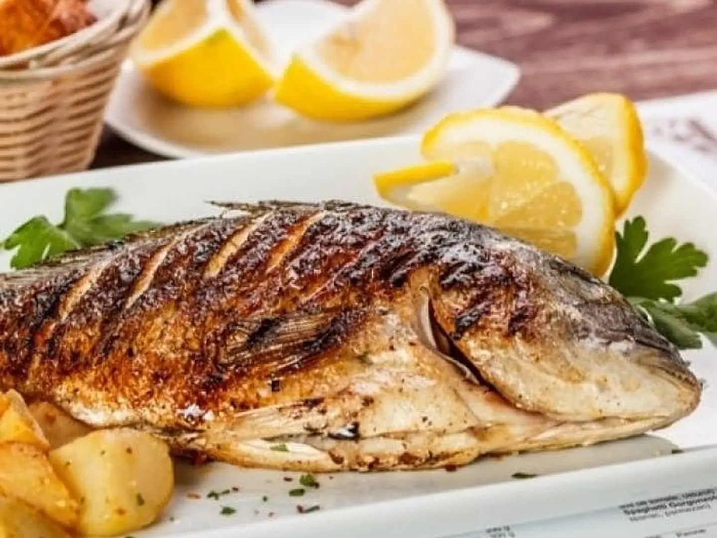 Sea Bream