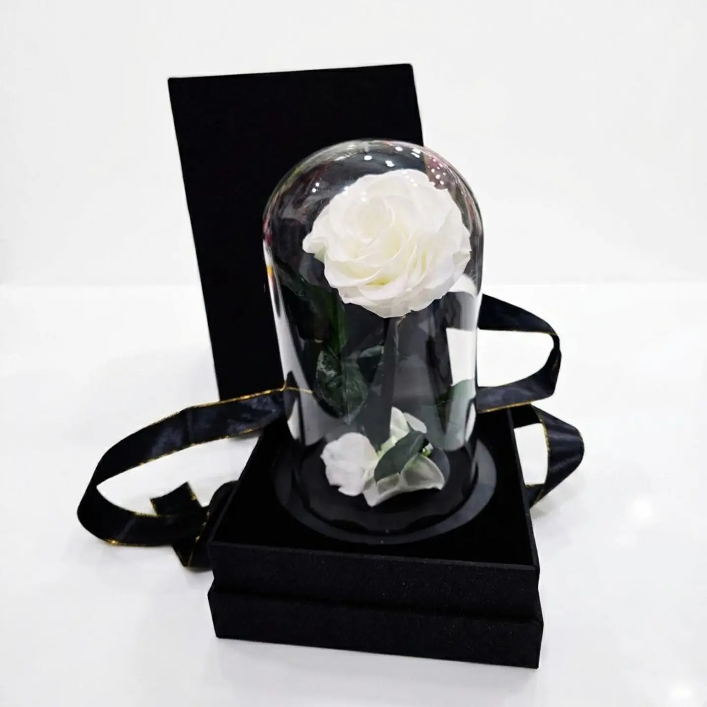 Eternal Rose ( White )