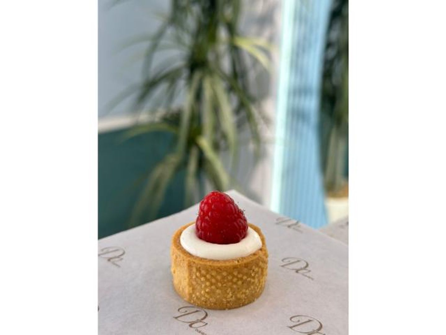 Red Berry Tart