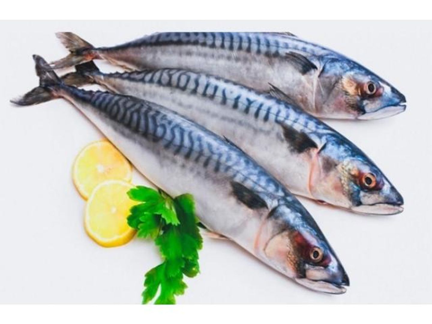 Mackerel 1 Kg