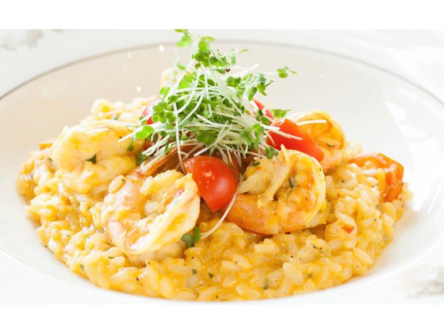 Shrimp Risotto