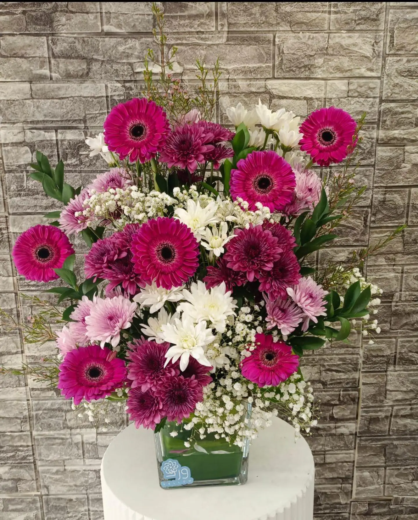 فازة الحياة