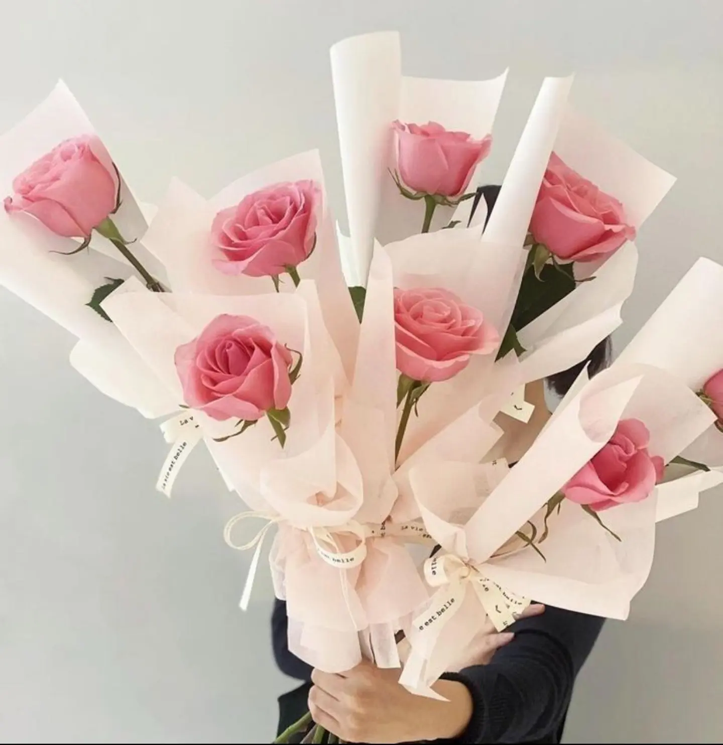 توزيعات ورد الجوري بالحبة