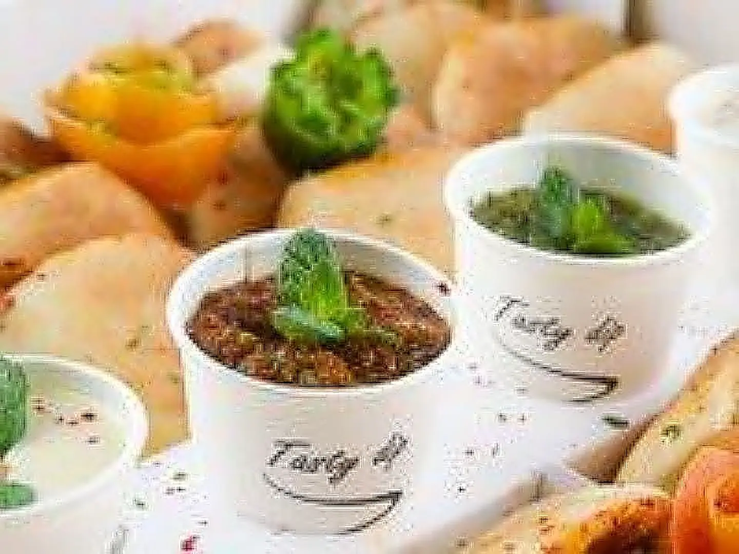 Small Mix Sandwich Box