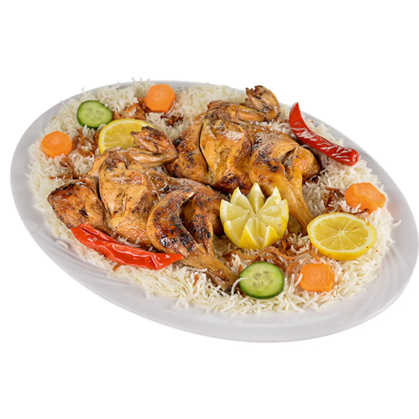 دجاج مظبي