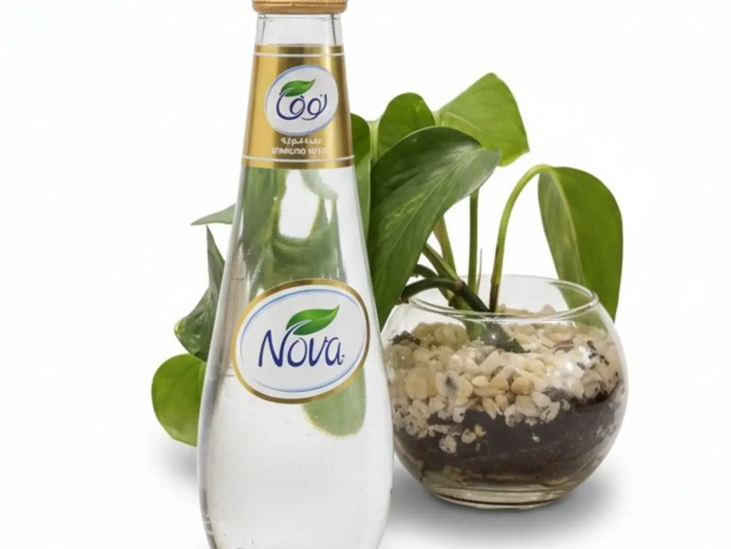 Sparkling Water