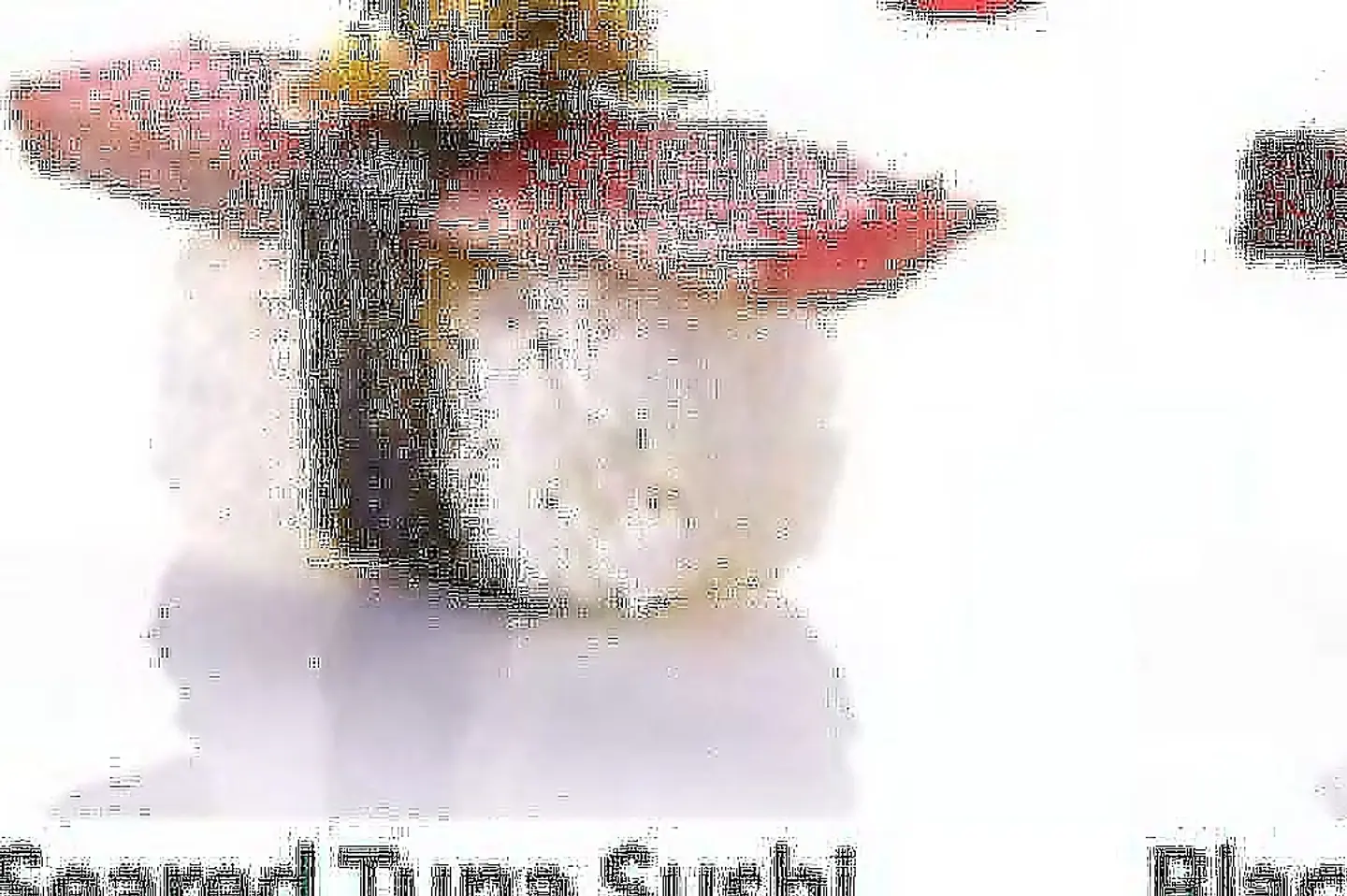 Seared Tuna
