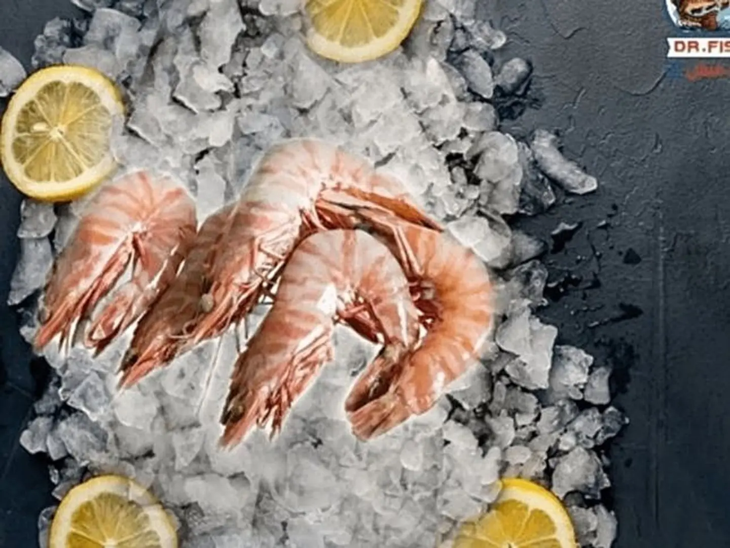 جمبري جامبو 500 جرام