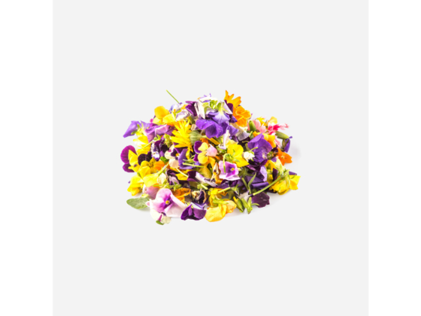 Edible Bonsai Roses (Colors)