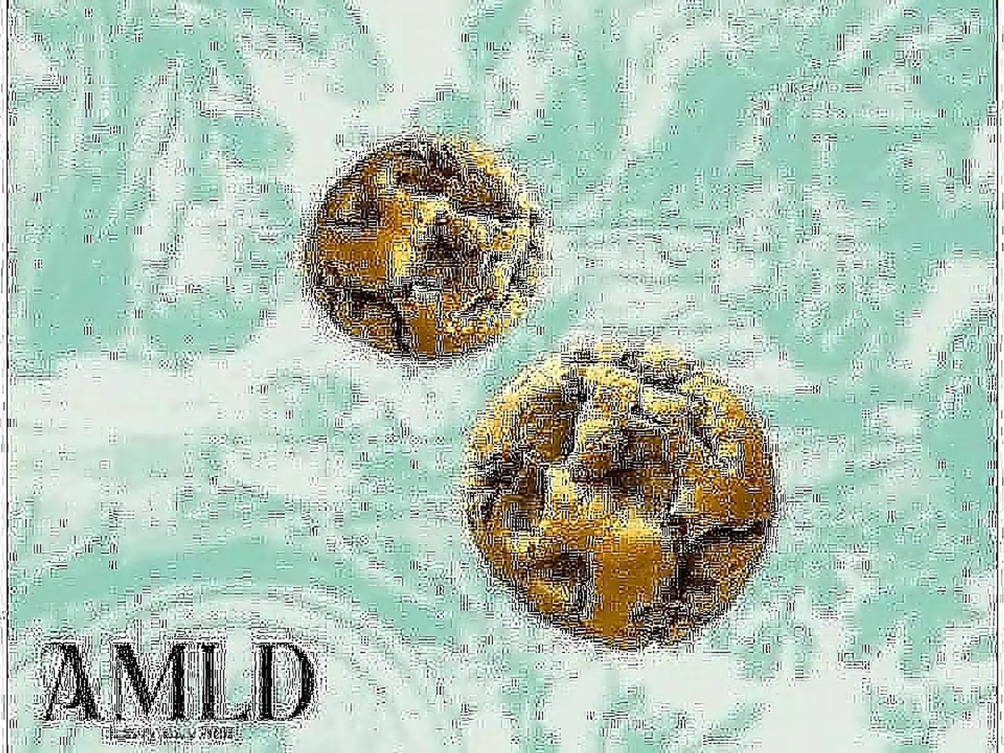 Amld Cookies 3 Pieces