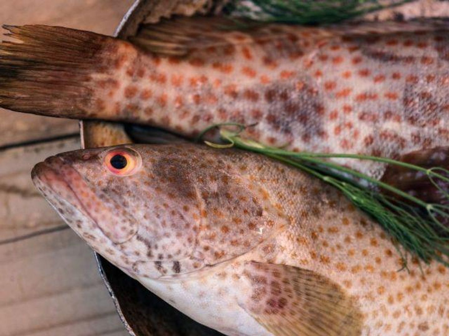 Fried Hamour Fish