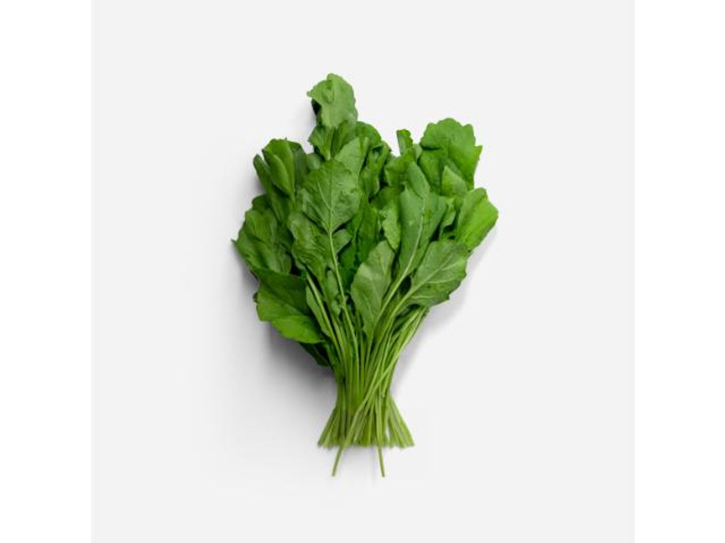 Rocca Local Per Bunch