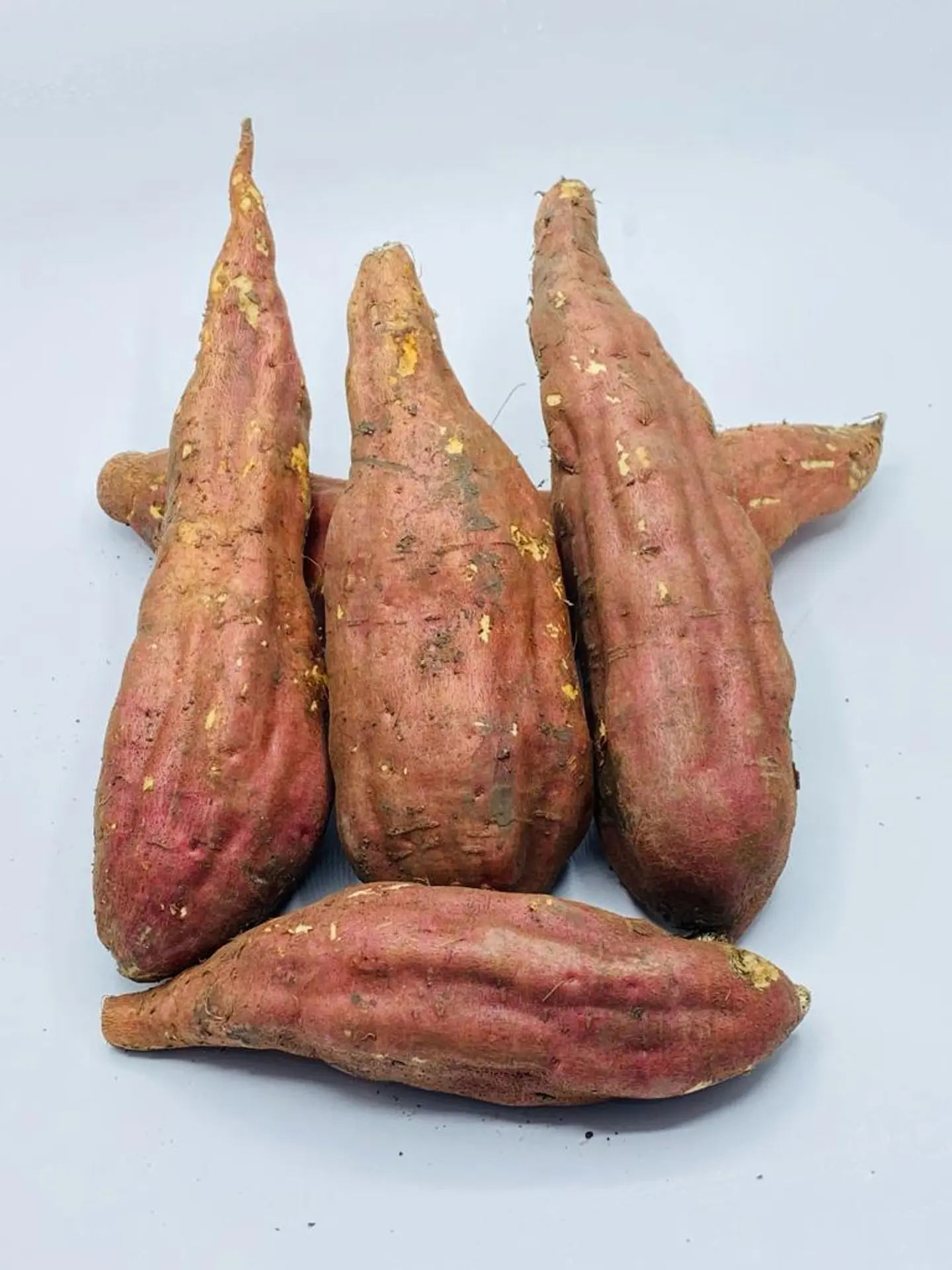 Sweet Potato In Carton
