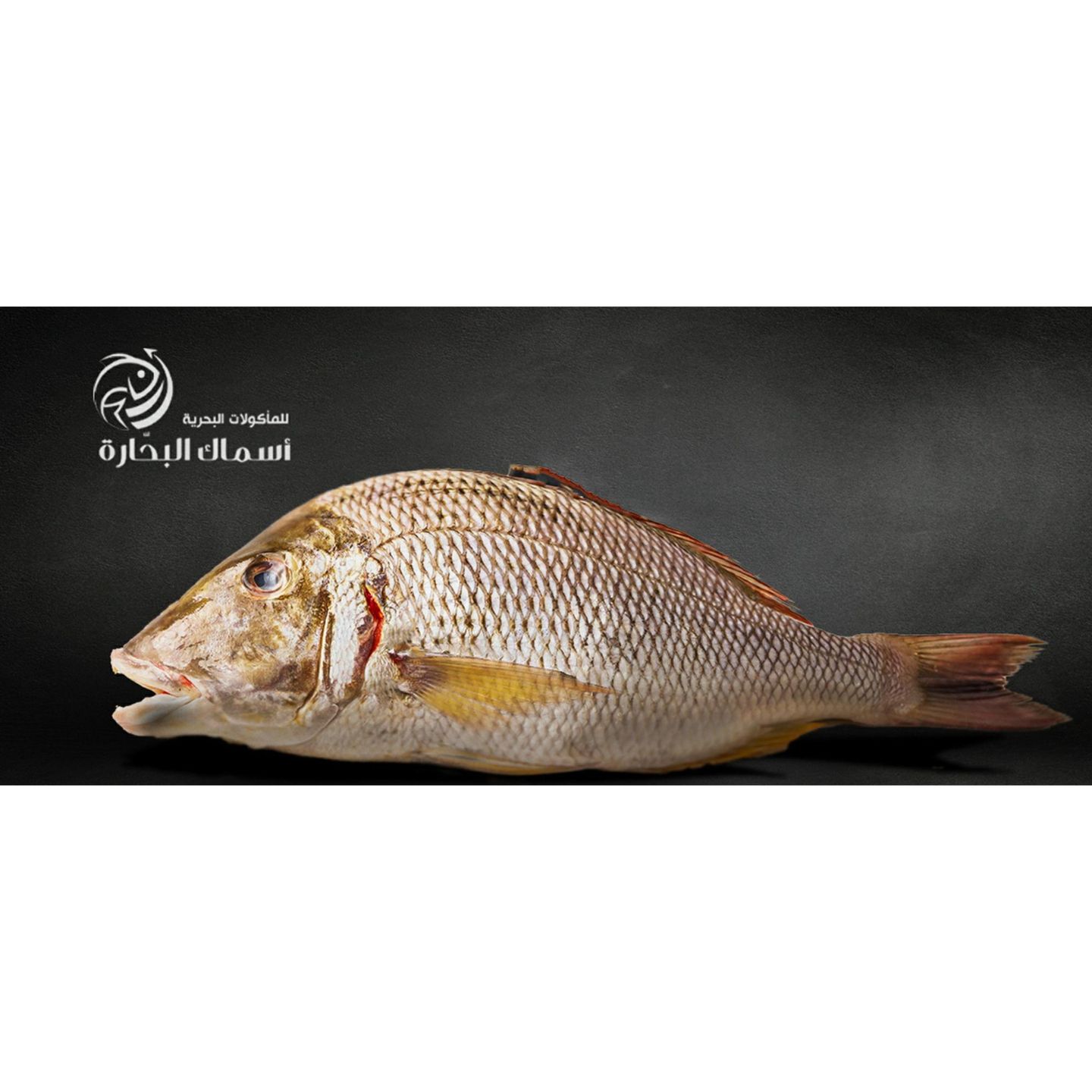 Fish Emperor - Kilo