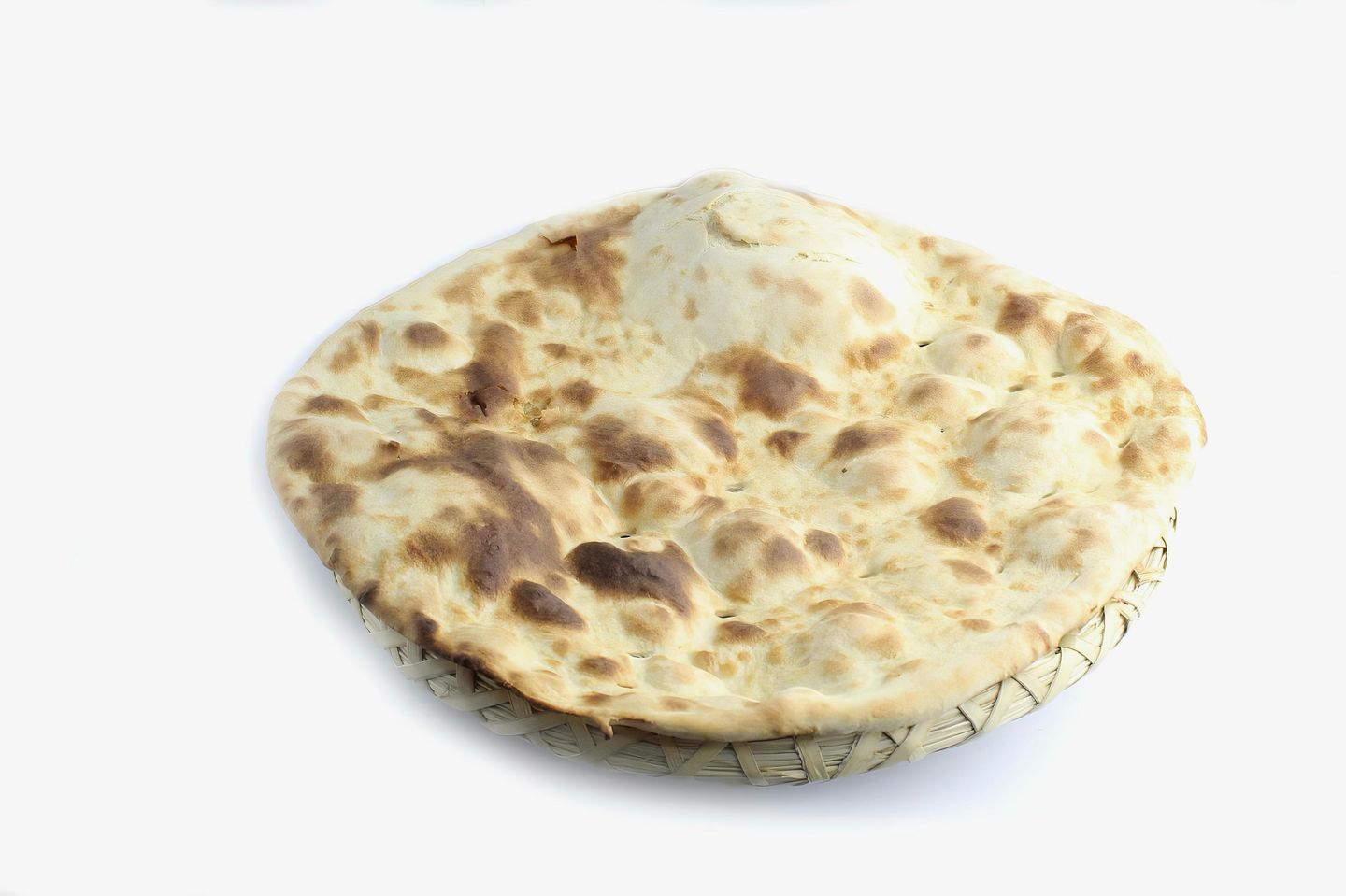 هولي ابيض