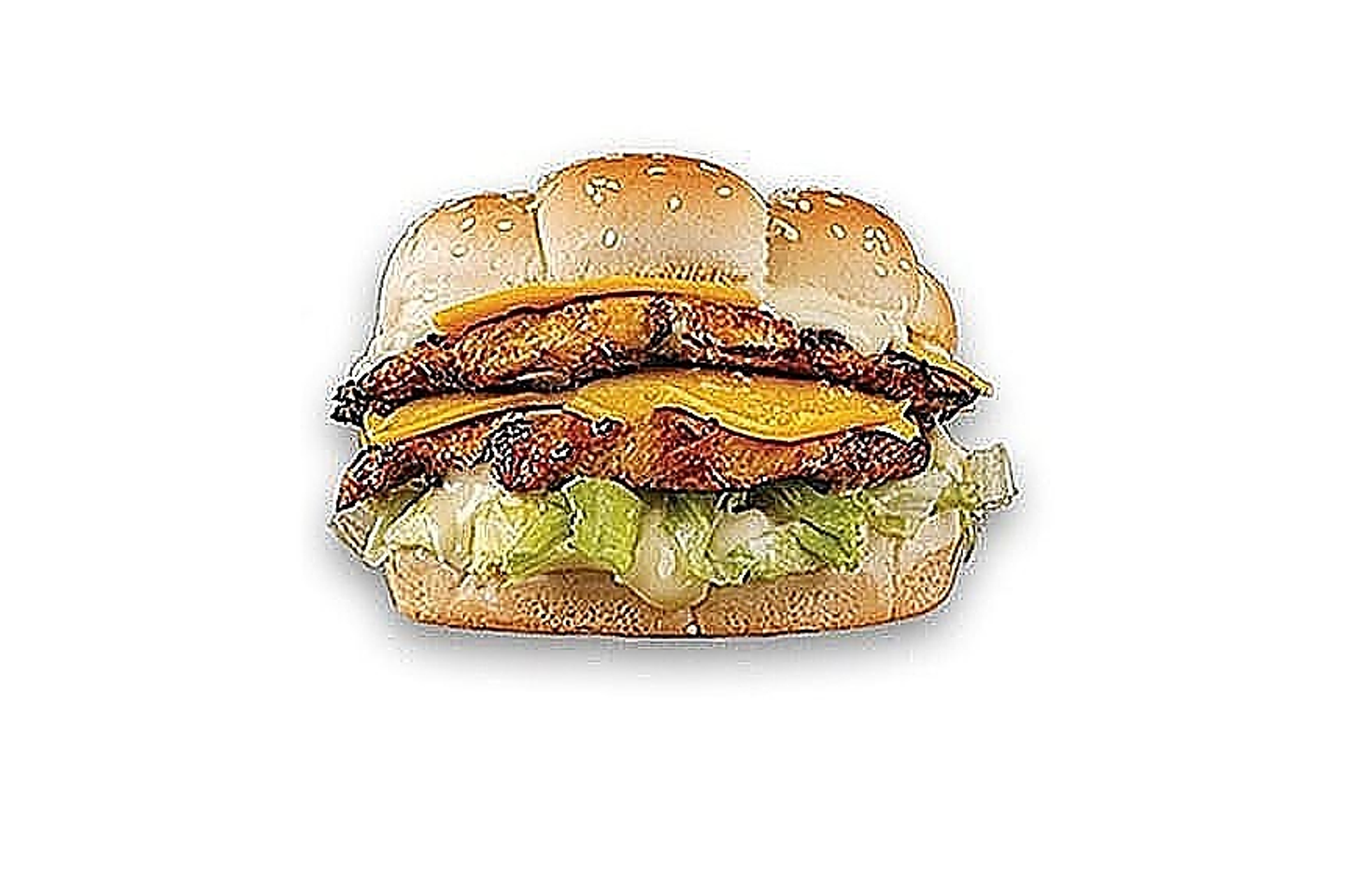Double Meat Burger Meal