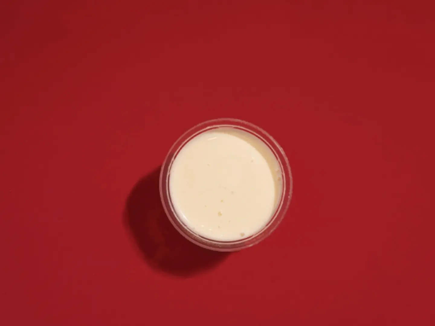 Garlic Sauce