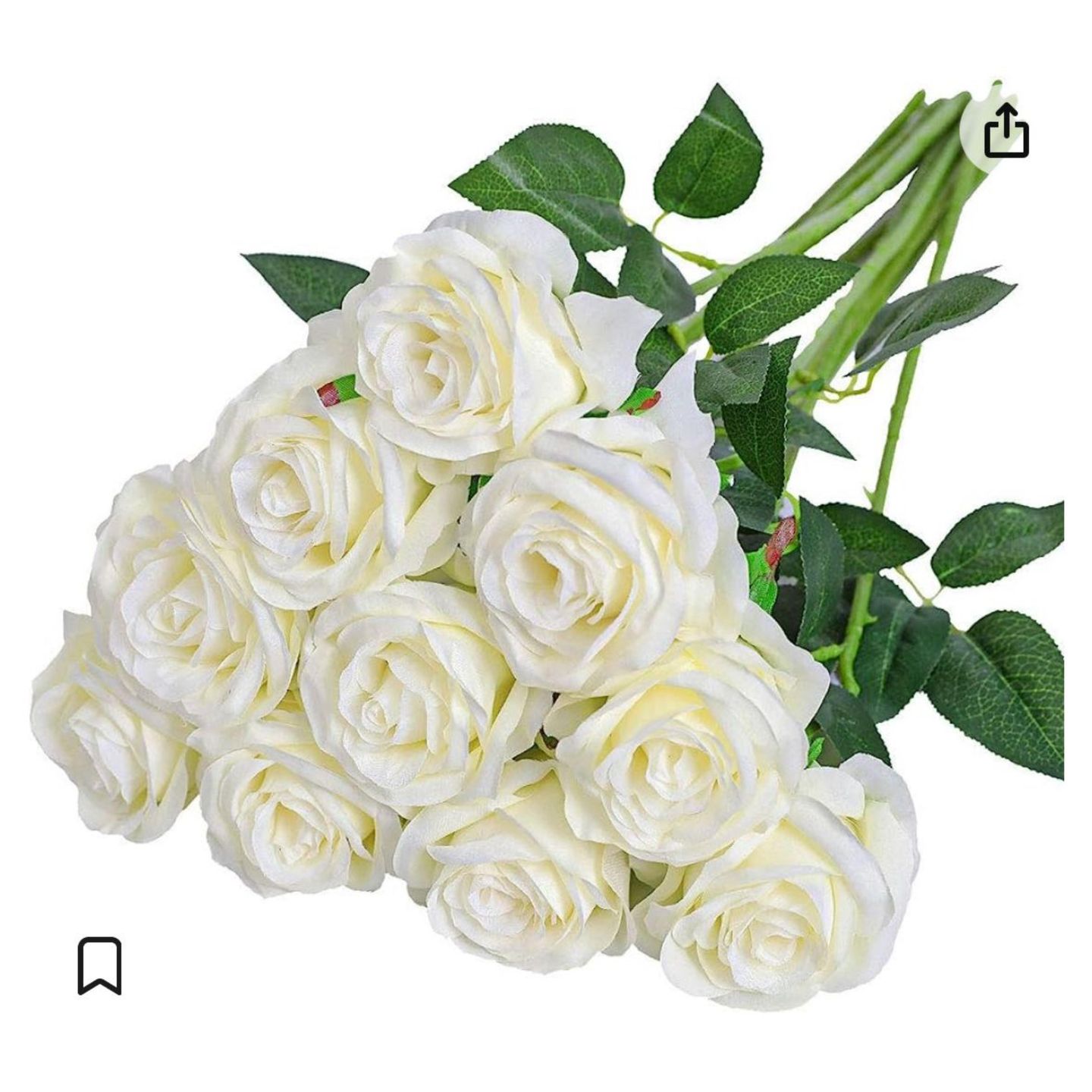 Natural Raw White Rose