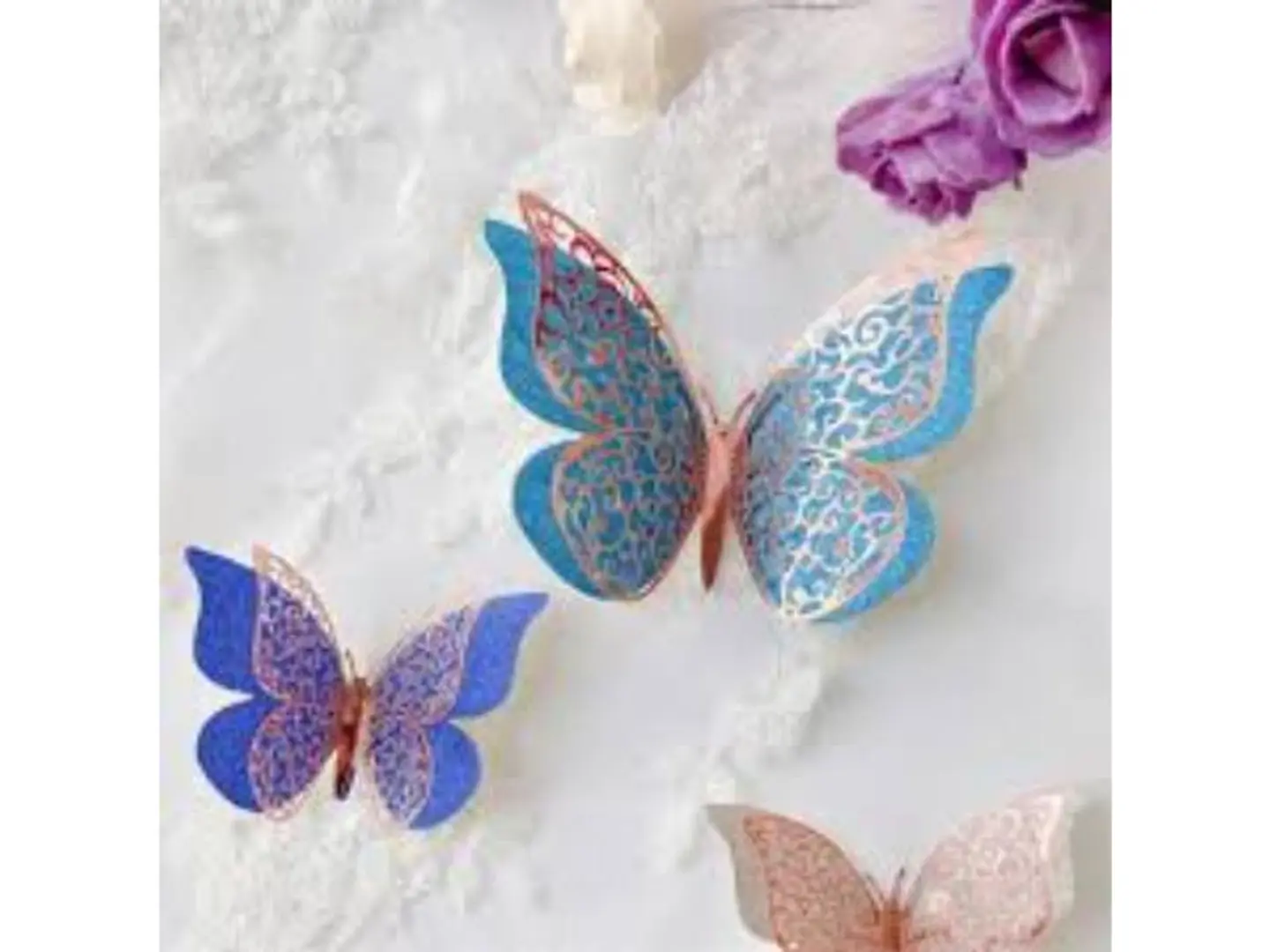 Butterfly Accessories