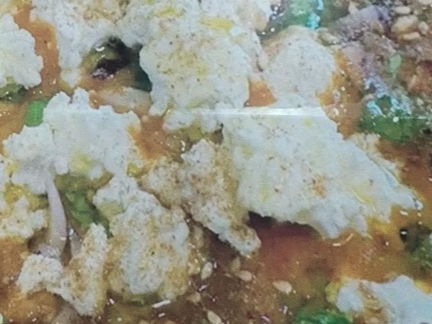 Ful Medames