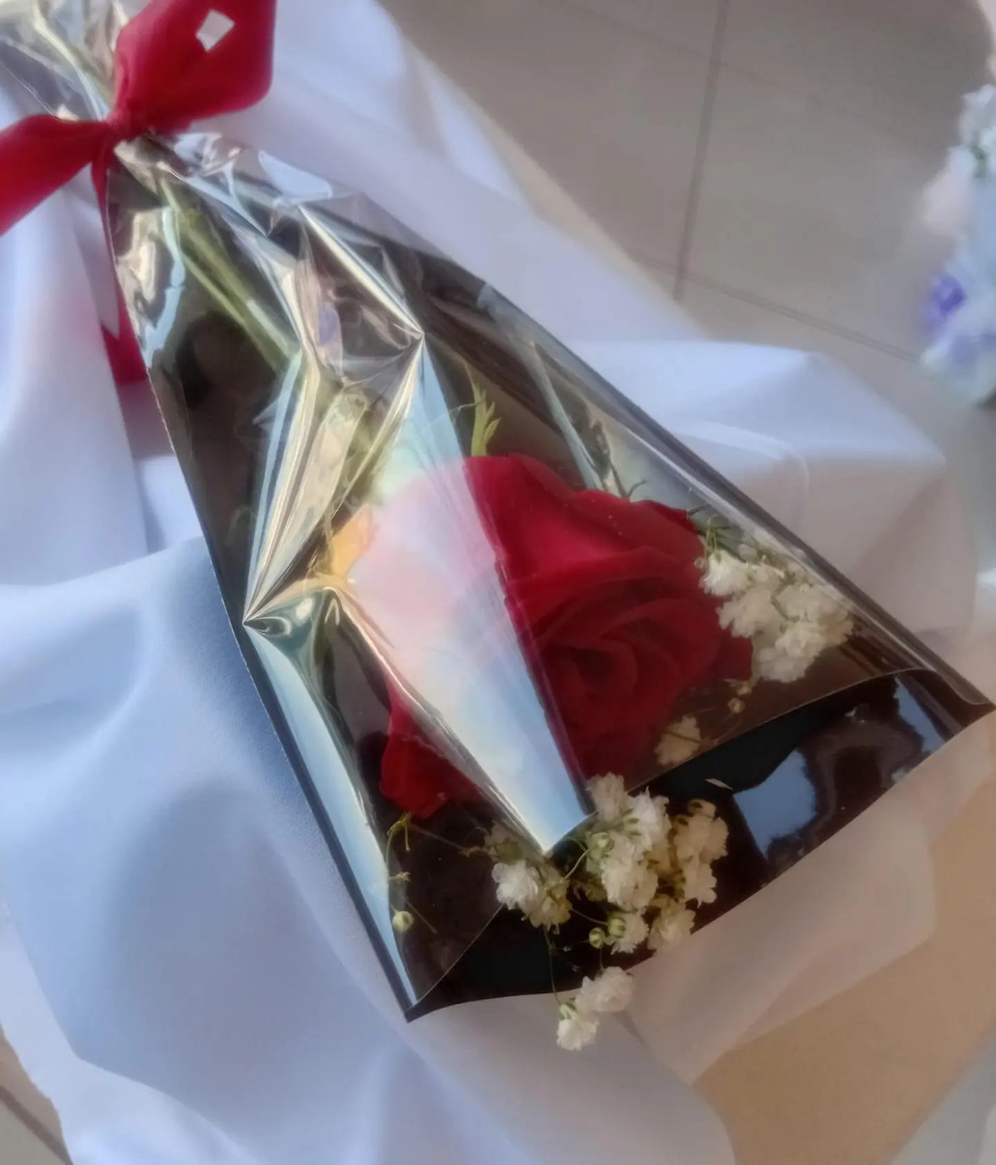 وردة حمراء واحدة جميلة