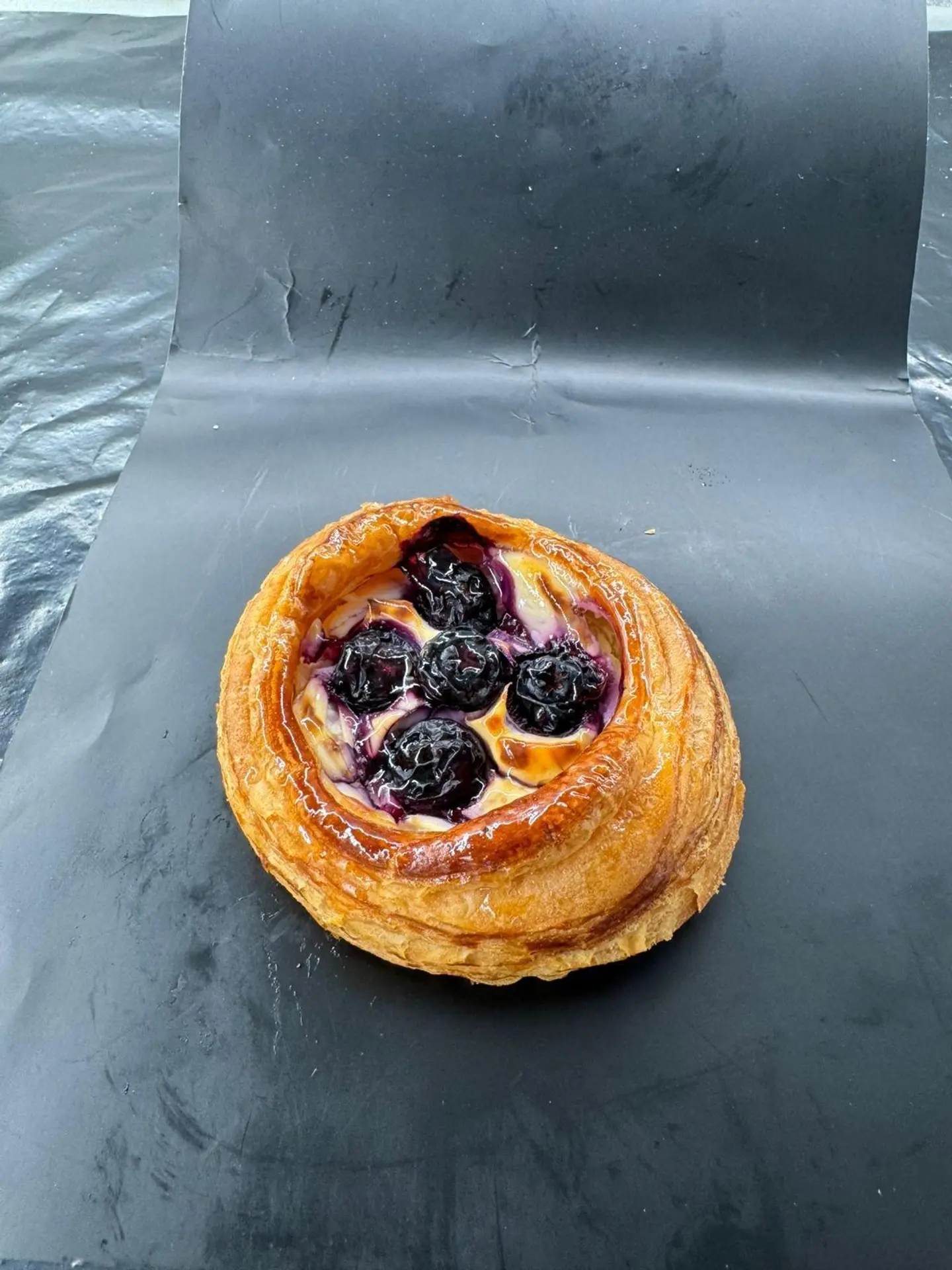 دانش بلوبيري جبنه