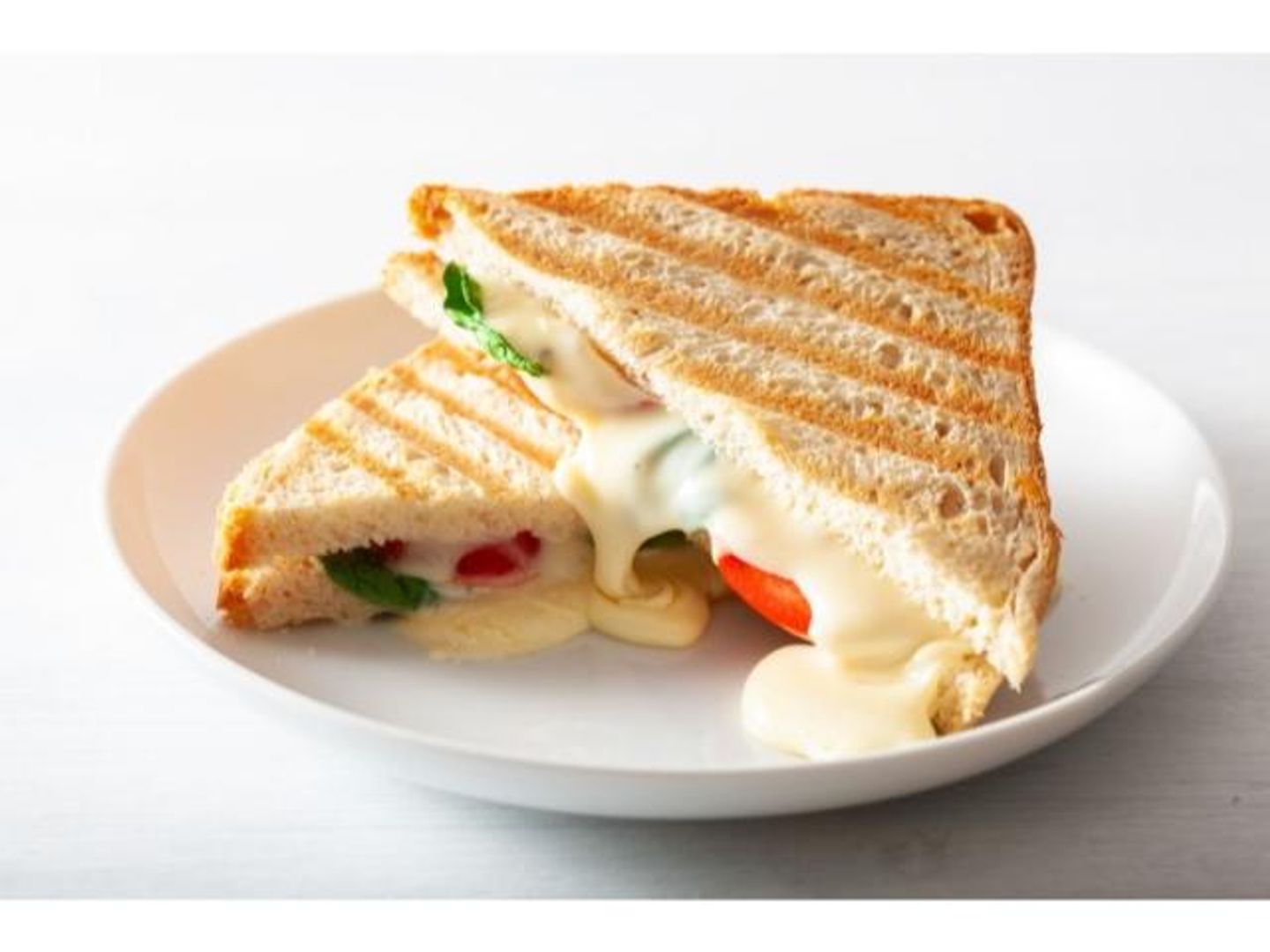 Panini Chaud Cherved And Tomato