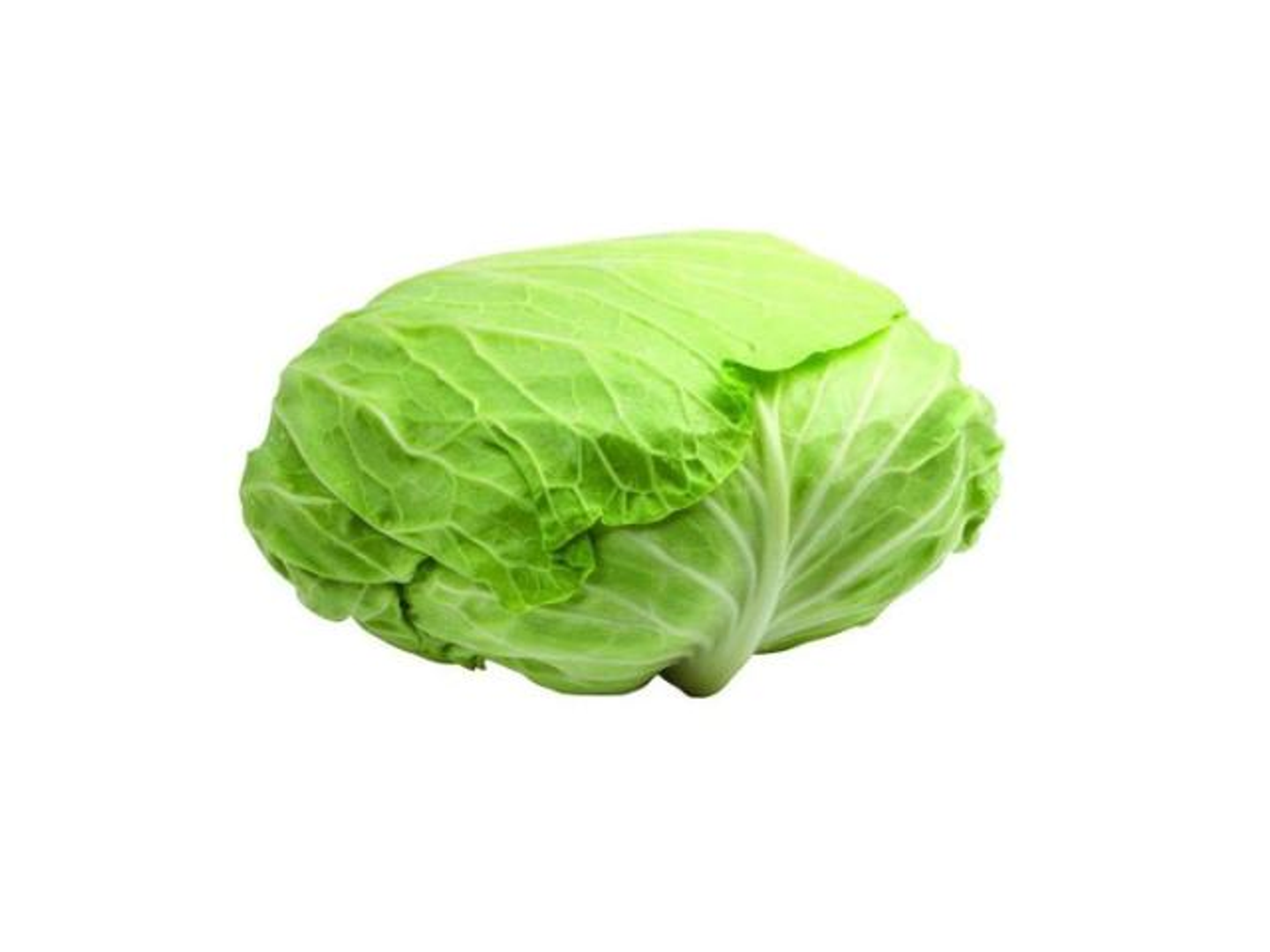 ملفوف