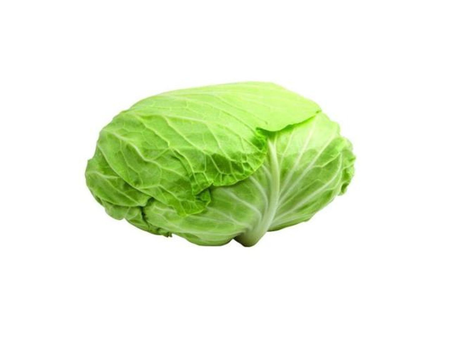 ملفوف
