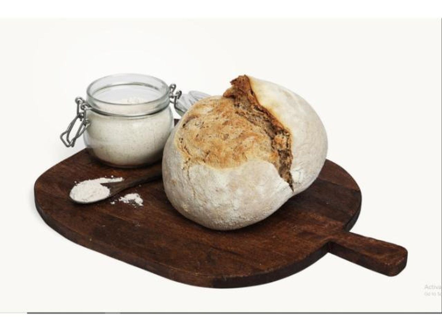 Whole Wheat Flour Bread